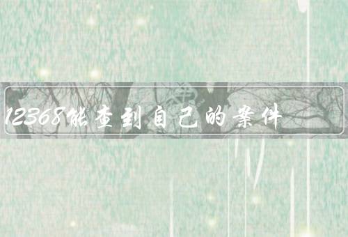 12368能查到自己的案件（查询个人案件的便利）