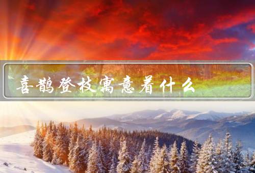 喜鹊登枝寓意着什么，由来、象征意义、文化内涵
