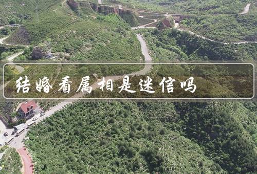 结婚看属相是迷信吗，属相与婚姻的关系、婚姻的成功与属相无关