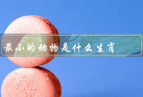 最小的动物是什么生肖，最小动物、特点、象征意义
