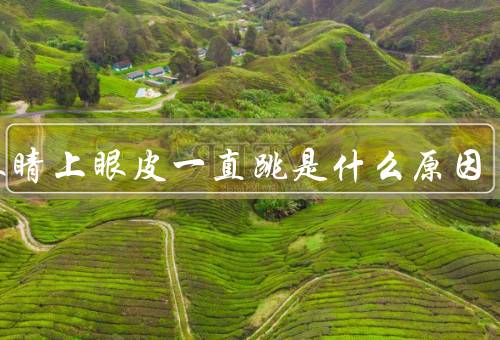 右眼睛上眼皮一直跳是什么原因（眼睛疲劳、缺乏睡眠、情绪压力）