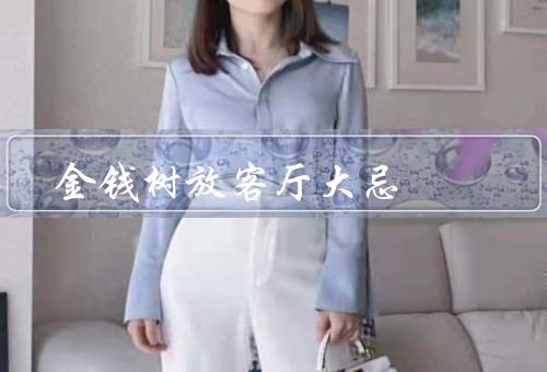金钱树放客厅大忌（光线过强／风水冲冲／湿度过高）