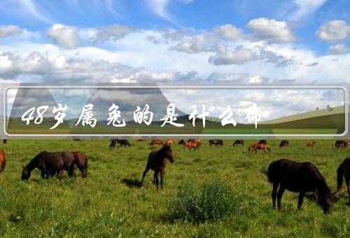 48岁属兔的是什么命（属兔的特点／48岁属兔的命运／建议与展望）