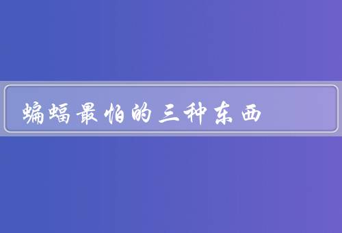 蝙蝠最怕的三种东西，猛禽／灯光／干扰和破坏