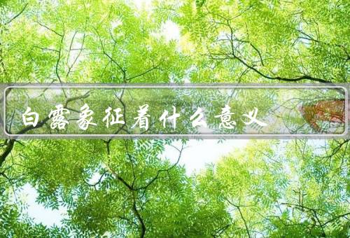 白露象征着什么意义（含义／意义／文化内涵）