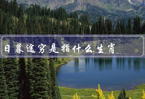 日暮途穷是指什么生肖（兔子的特征／日暮途穷的含义）