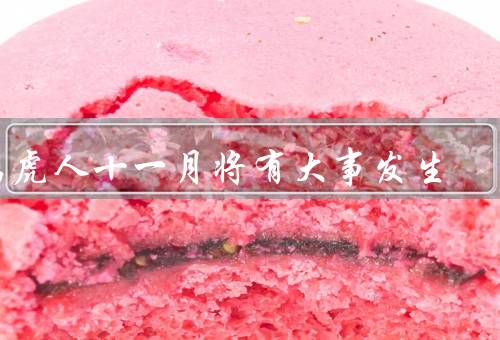 属虎人十一月将有大事发生，职业发展机会、财务管理、人际关系
