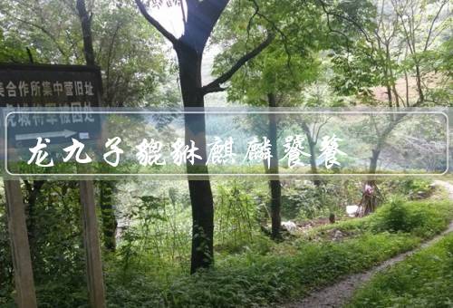 龙九子貔貅麒麟饕餮（龙九子、麒麟、饕餮）