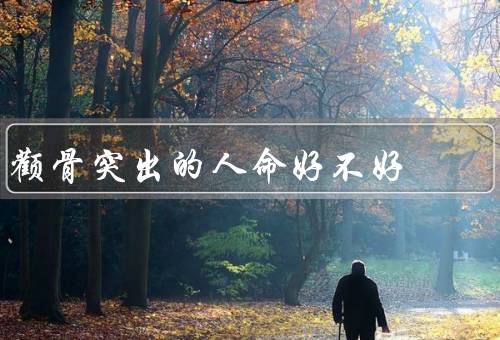 颧骨突出的人命好不好（并不决定一个人的命运／可能会带来一些困扰）