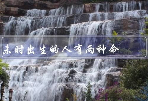 未时出生的人有两种命（挑战／机遇／结语）