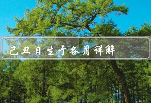 己丑日生于各月详解（一月／二月／三月）
