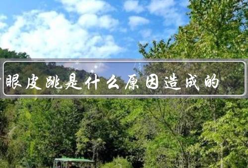 右眼皮跳是什么原因造成的，眼部疲劳、压力和焦虑、缺乏睡眠