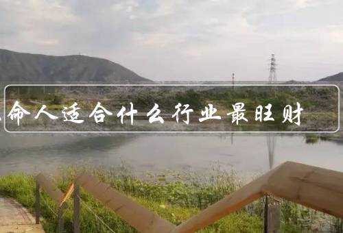 土命人适合什么行业最旺财