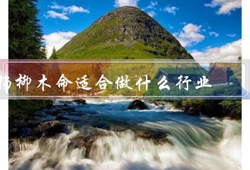 杨柳木命适合做什么行业，家具制造行业／地板制造行业