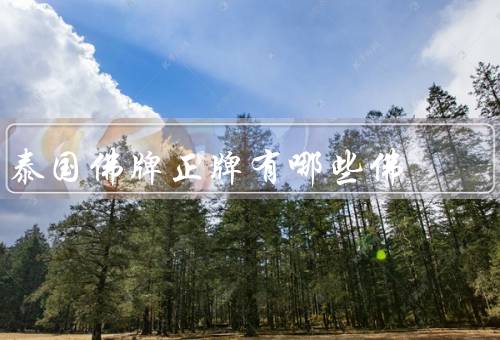 泰国佛牌正牌有哪些佛，释迦牟尼佛／阿弥陀佛／观音菩萨