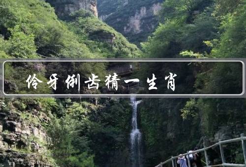 伶牙俐齿猜一生肖，多半属于鼠年生肖、可能是龙年生肖