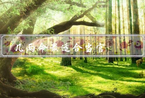 几两命最适合当官（仕途顺遂、聪明智慧、道德高尚）
