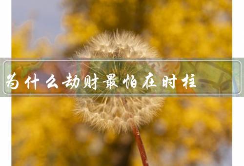 为什么劫财最怕在时柱，不利财运发展／带来的挑战和困难