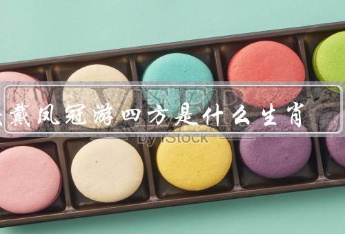 头戴凤冠游四方是什么生肖（聪明才智、勤奋与努力、勇于探索）