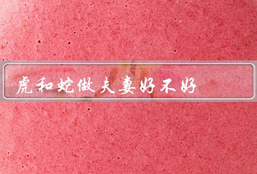 虎和蛇做夫妻好不好（互补性的力量、相互依赖的生活方式）