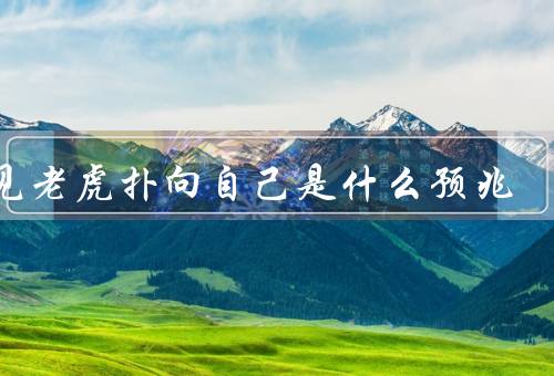梦见老虎扑向自己是什么预兆，暗示的心理状态／自我保护机制