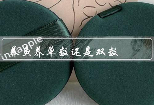 养鱼养单数还是双数，单数的好处／双数的好处／结论
