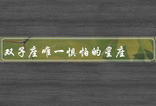 双子座唯一惧怕的星座（重复和单调的工作／缺乏刺激和冒险）