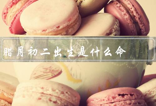 腊月初二出生是什么命（性格特点、事业发展、婚姻家庭）