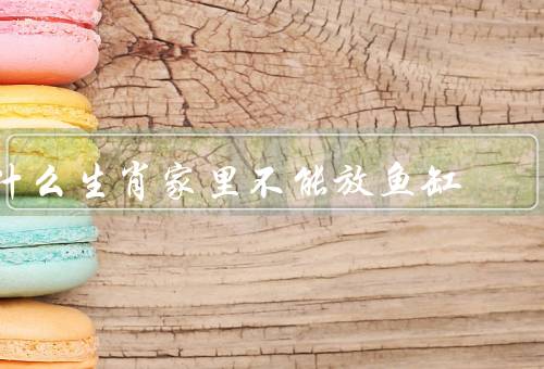 什么生肖家里不能放鱼缸，生肖属羊的人容易受到压力／财运不稳