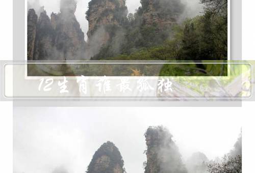 12生肖谁最孤独（才华出众、独立自主、高要求）