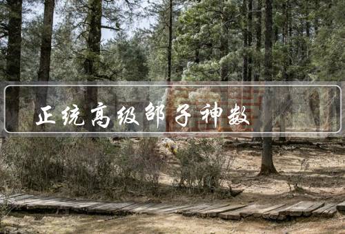 正统高级邵子神数，基本原理／应用领域／发展前景