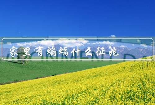 家里有蝙蝠什么征兆（进入家中／粪便／叫声）