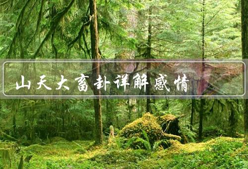 山天大畜卦详解感情，解析／建议／总结