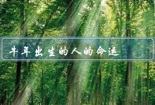 牛年出生的人的命运，聪明才智／坚韧不拔／家庭幸福