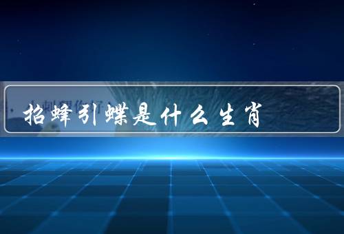 招蜂引蝶是什么生肖，招蜂引蝶／各生肖的招蜂引蝶特点／结语