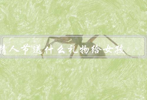 情人节送什么礼物给女孩，玫瑰花／精美首饰／约会