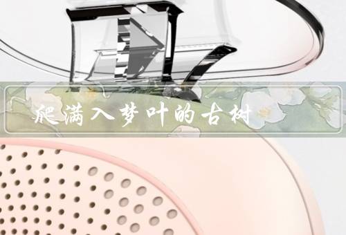 爬满入梦叶的古树，历史／传说／保护