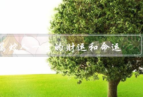 属蛇人一生的财运和命运，财运／命运／发展建议