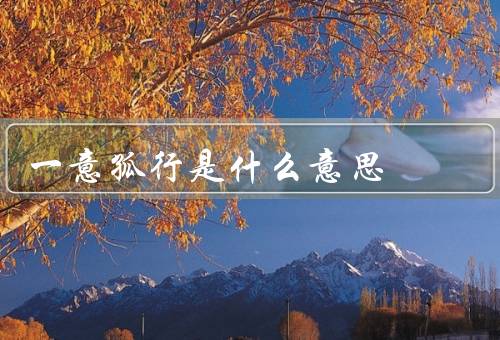 一意孤行是什么意思（什么是／原因／影响）