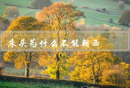 床头为什么不能朝西，受阳光直射、产生焦虑不安情绪