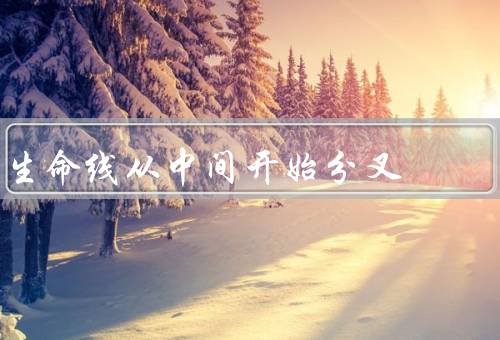 生命线从中间开始分叉，含义／解读／处理方法