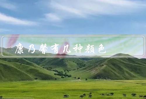康乃馨有几种颜色，红色康乃馨／粉色康乃馨／白色康乃馨