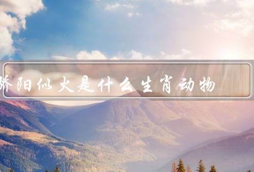 骄阳似火是什么生肖动物，特征／生肖中动物／猴子们