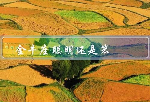 金牛座聪明还是笨（聪明／笨拙／结论）