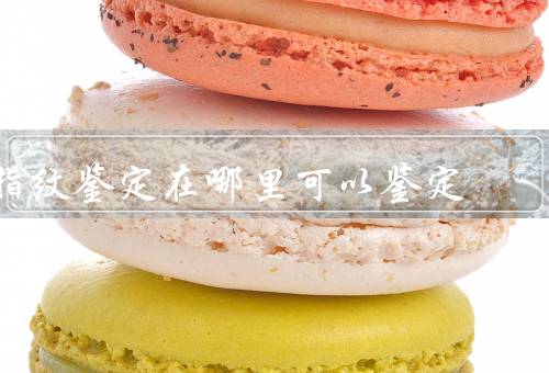 指纹鉴定在哪里可以鉴定（公安机关／法医鉴定所／边境口岸）