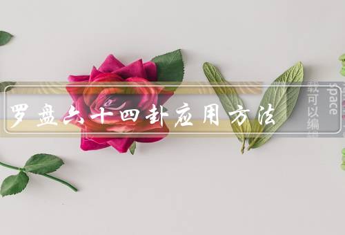 罗盘六十四卦应用方法，六十四卦的含义／卦爻的解读