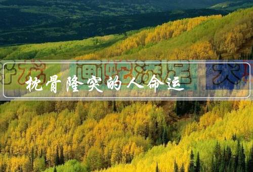 枕骨隆突的人命运，智力／运势／身体健康