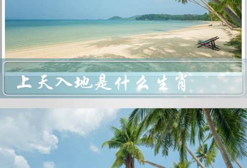 上天入地是什么生肖（生肖、影响、总结）