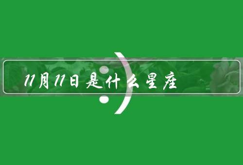 11月11日是什么星座（特点、爱情观、职业发展）