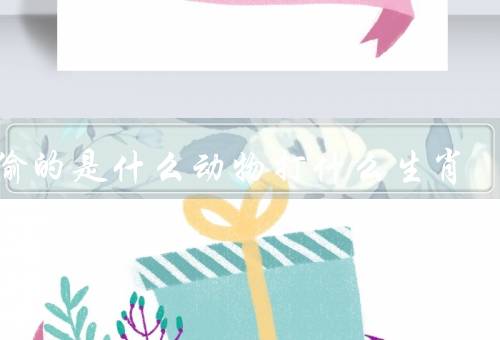 偷偷的是什么动物打什么生肖（特点／偷偷动物行踪／反抗）